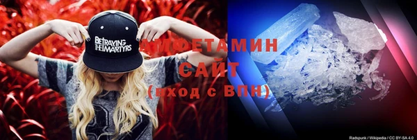 индика Беломорск