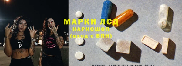 индика Беломорск