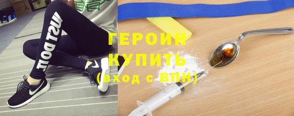 индика Беломорск