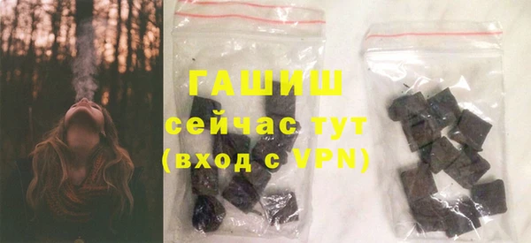 индика Беломорск