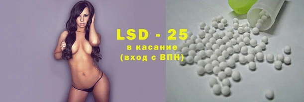 индика Беломорск