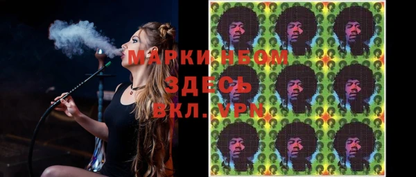 индика Беломорск