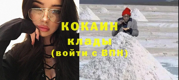 индика Беломорск