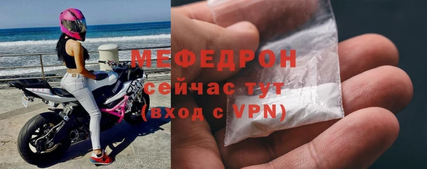 индика Беломорск