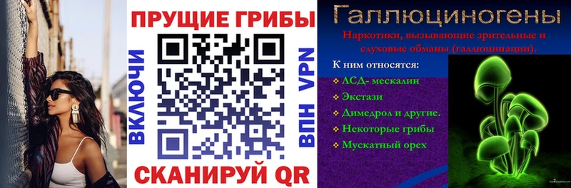 Псилоцибиновые грибы Magic Shrooms  Шилка 