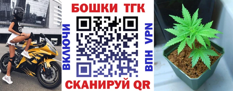 Конопля планчик  mega ONION  Шилка  купить наркотики сайты 
